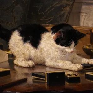 上桌的调皮小猫咪