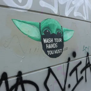baby yoda says: covid is gonna pass.