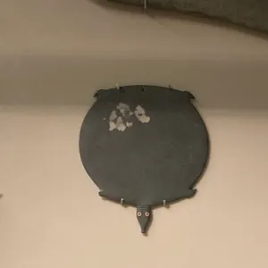 小乌龟可爱