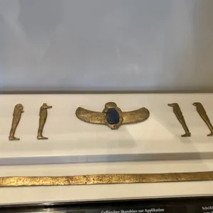那个...月光骑士